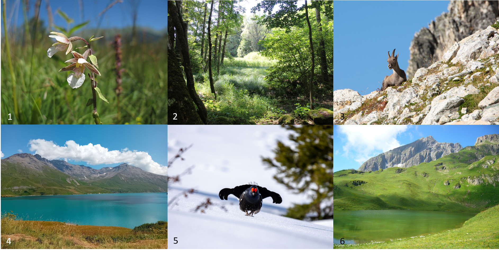 Bandeau-Faune-Flore-Paysage acNum