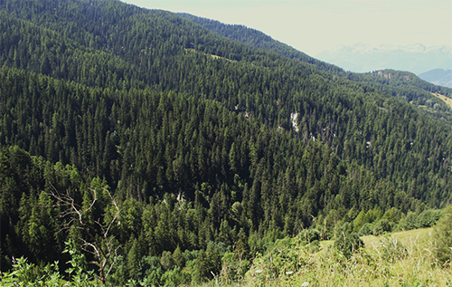 Capture d'ecran 2026-01-20 145748 copie