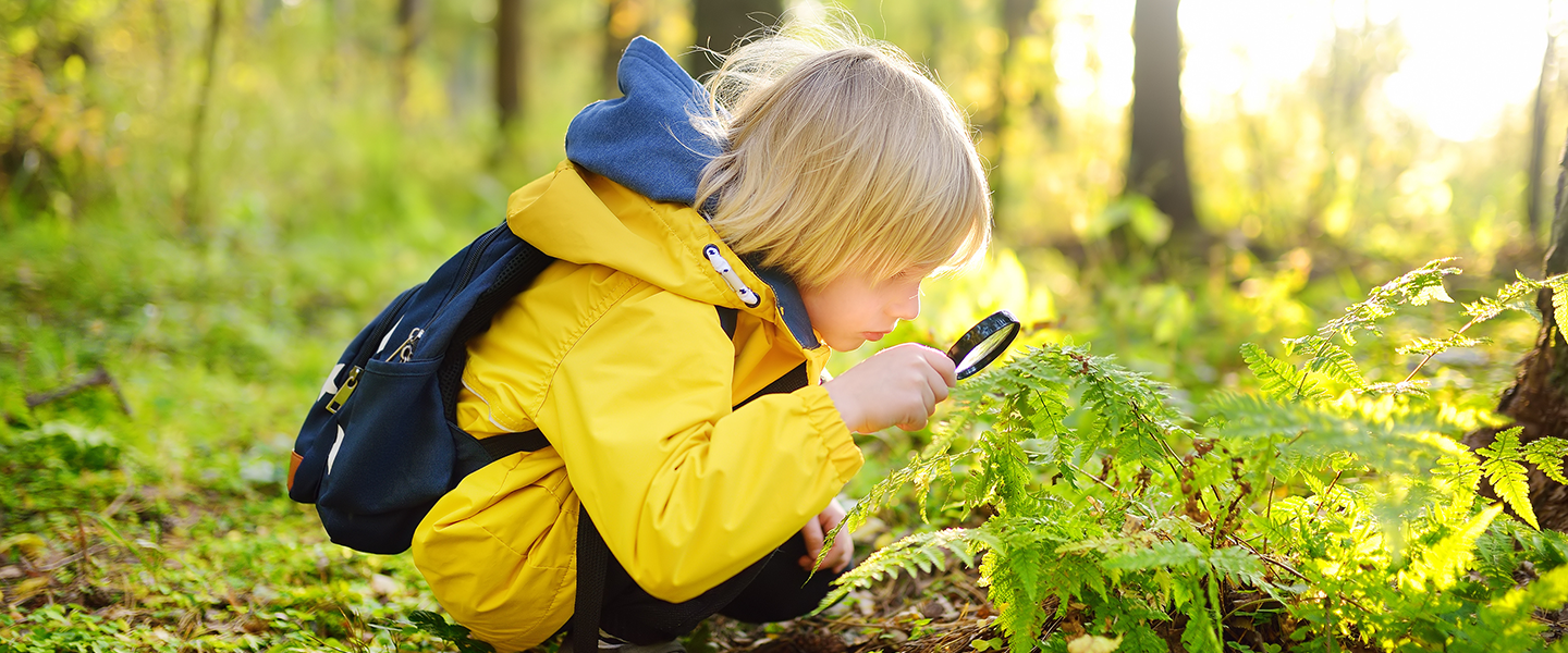 Un enfant regarde une fougère à la loupe