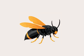 Illustration de frelon asiatique
