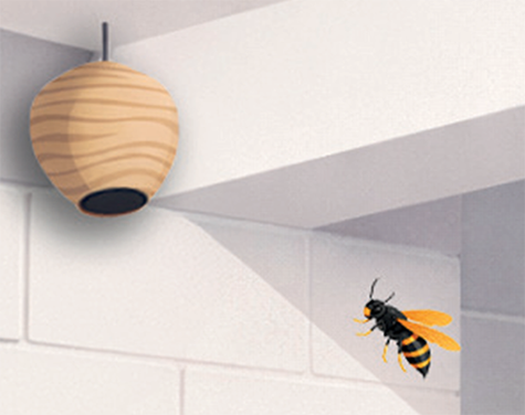 2026 04 Nid primaire 475