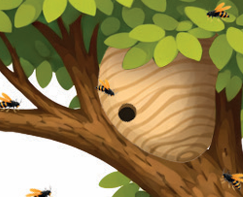 2026 04 Nid secondaire 475